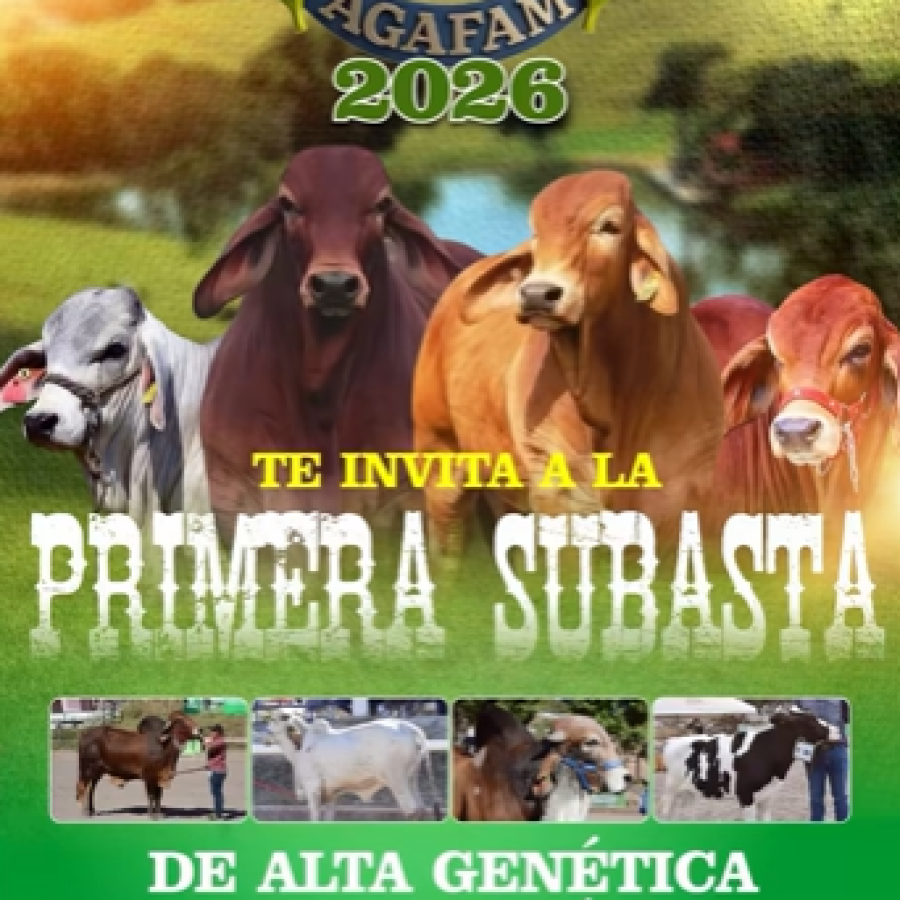 AGAFAM 2026: Primera subasta de alta genética 