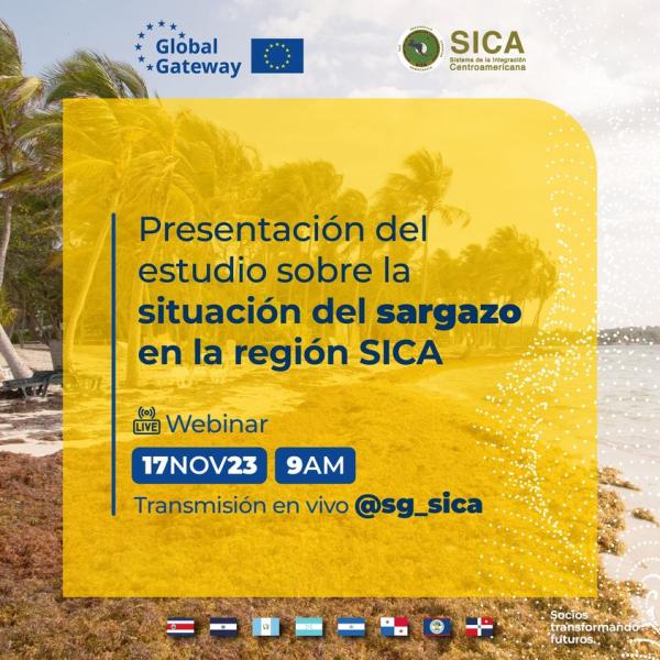 Webinario "Presentación del estudio sobre la situación del sargazo en la región SICA"