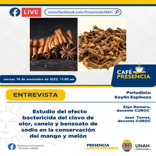 Café Presencia: Estudio del efecto bactericida del clavo de olor, canela y benzoato de sodio en la conservación del mango y melón 
