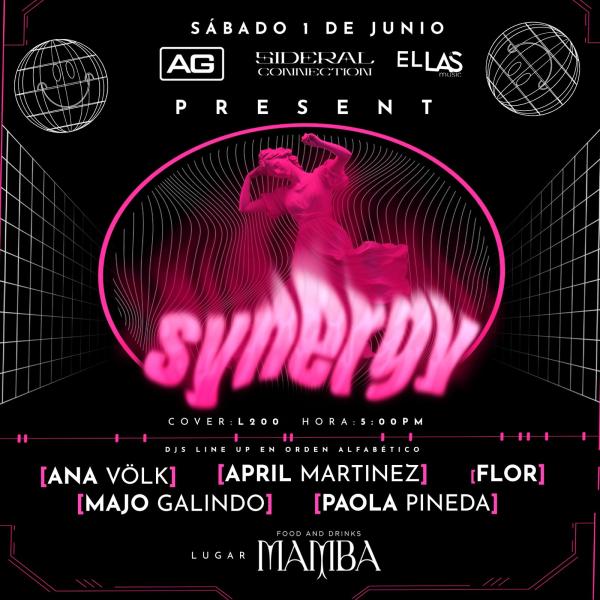 Synergy en Tegucigalpa 