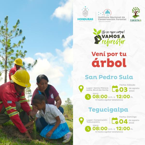 Vení por tu árbol y unámonos por Honduras