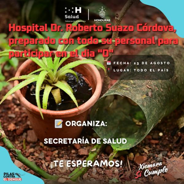 Día D en La Paz 