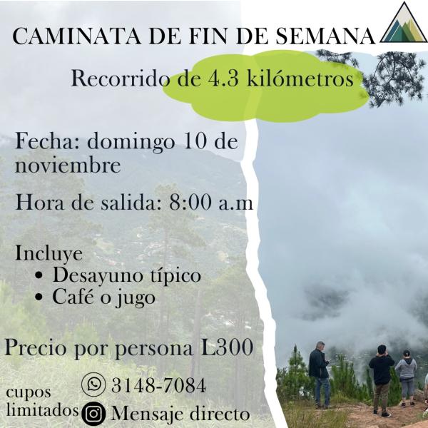 Fin de semana en TERRAVIVA