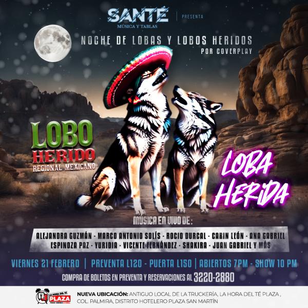 Noche de lobas y lobos heridos 