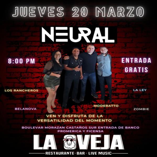 Una Noche Épica de Música en Vivo con el Grupo Neural 