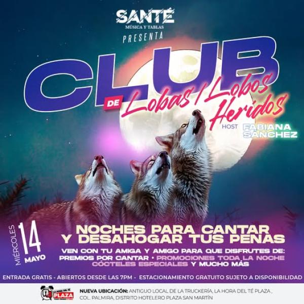 Nueva edición de las noches de lobas y lobos heridos