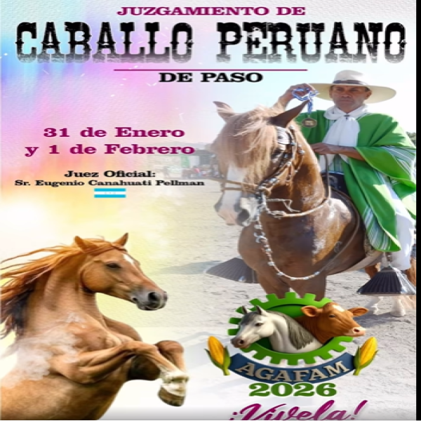 AGAFAM 2026: Competencia Caballo Peruano de paso 